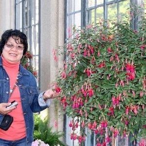 Meet your Posher, Grace